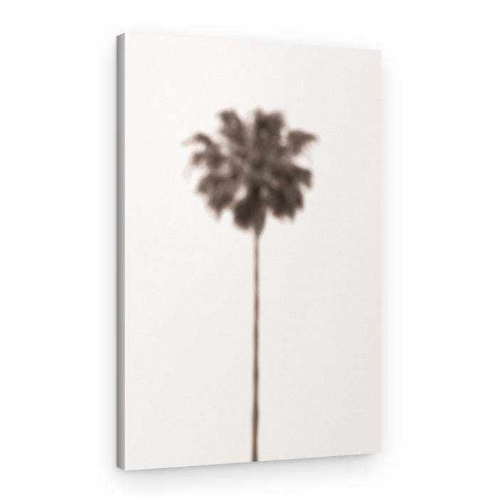 Blurred Palm Tree – Canvas Print