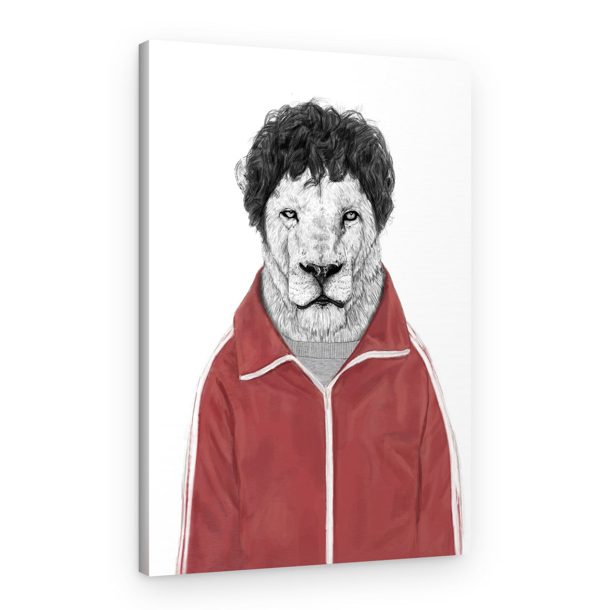Stylish Lion Track Jacket – Canvas Print