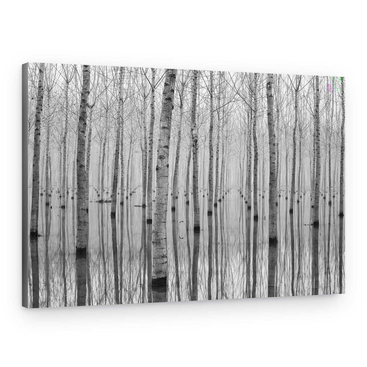 Misty Forest Reflections – Canvas Print