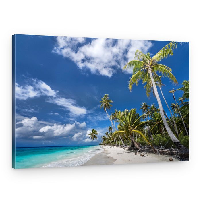 Tropical Palm Beach – Canvas Print