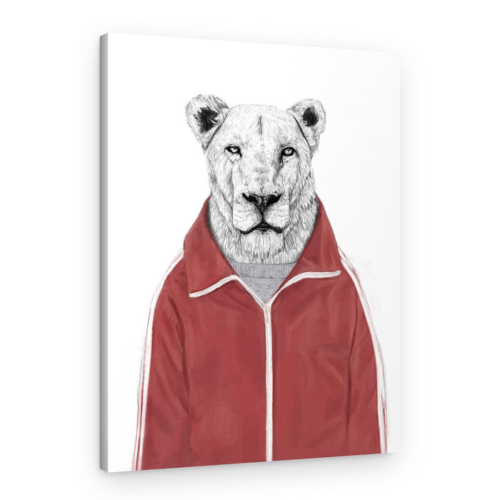 Stylish Lioness Tracksuit – Canvas Print