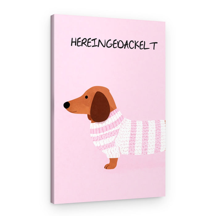 Dachshund In Pink Sweater – Canvas Print