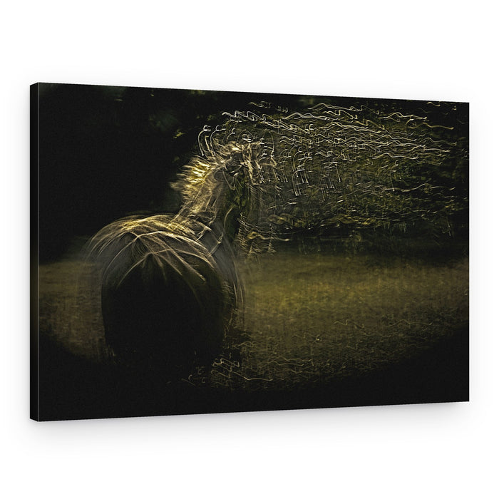 Golden Horse Motion – Canvas Print