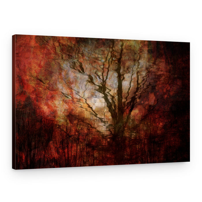Autumn Dream Tree – Canvas Print