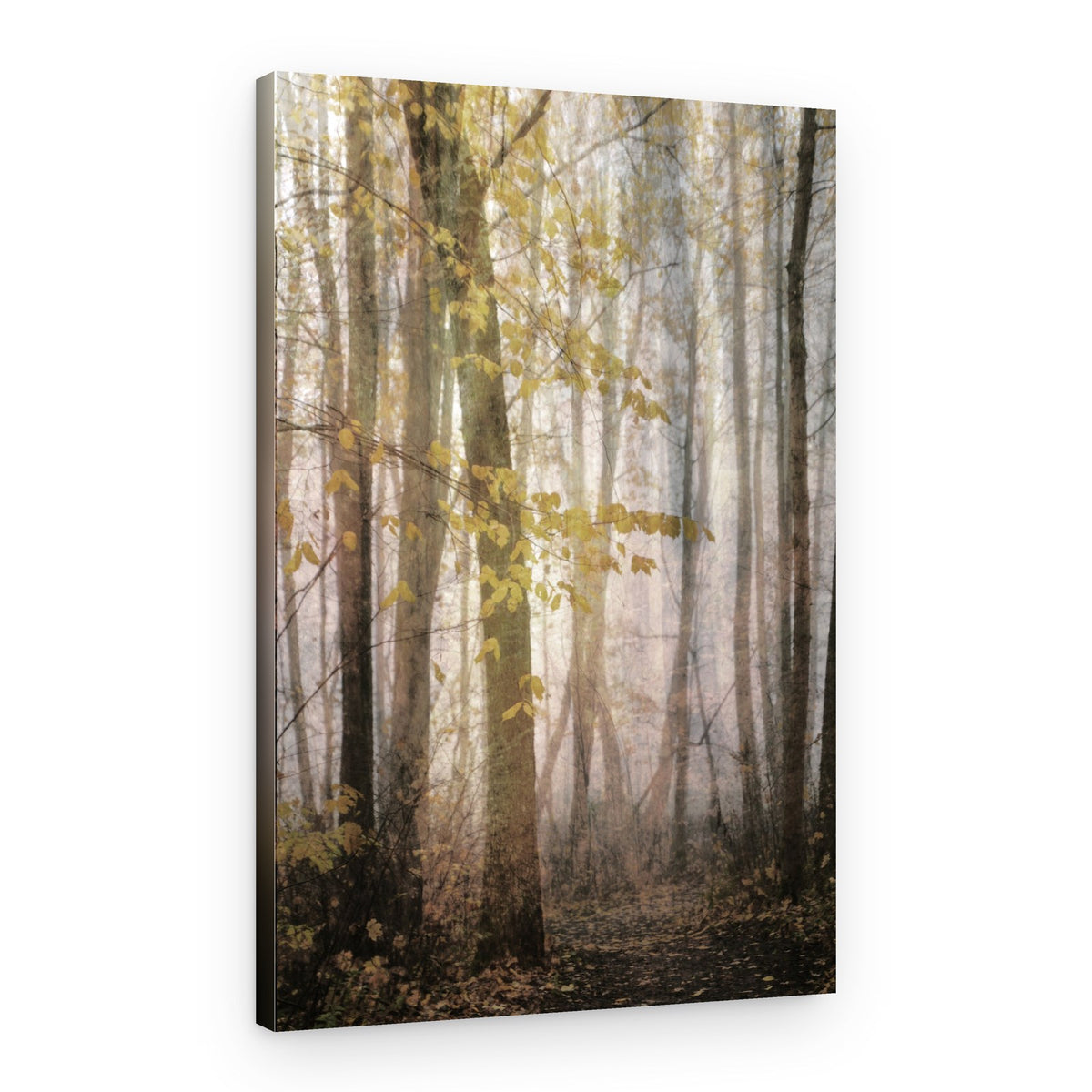 Misty Autumn Path – Canvas Print
