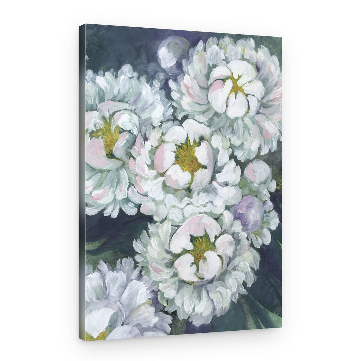 Soft White Peonies – Canvas Print
