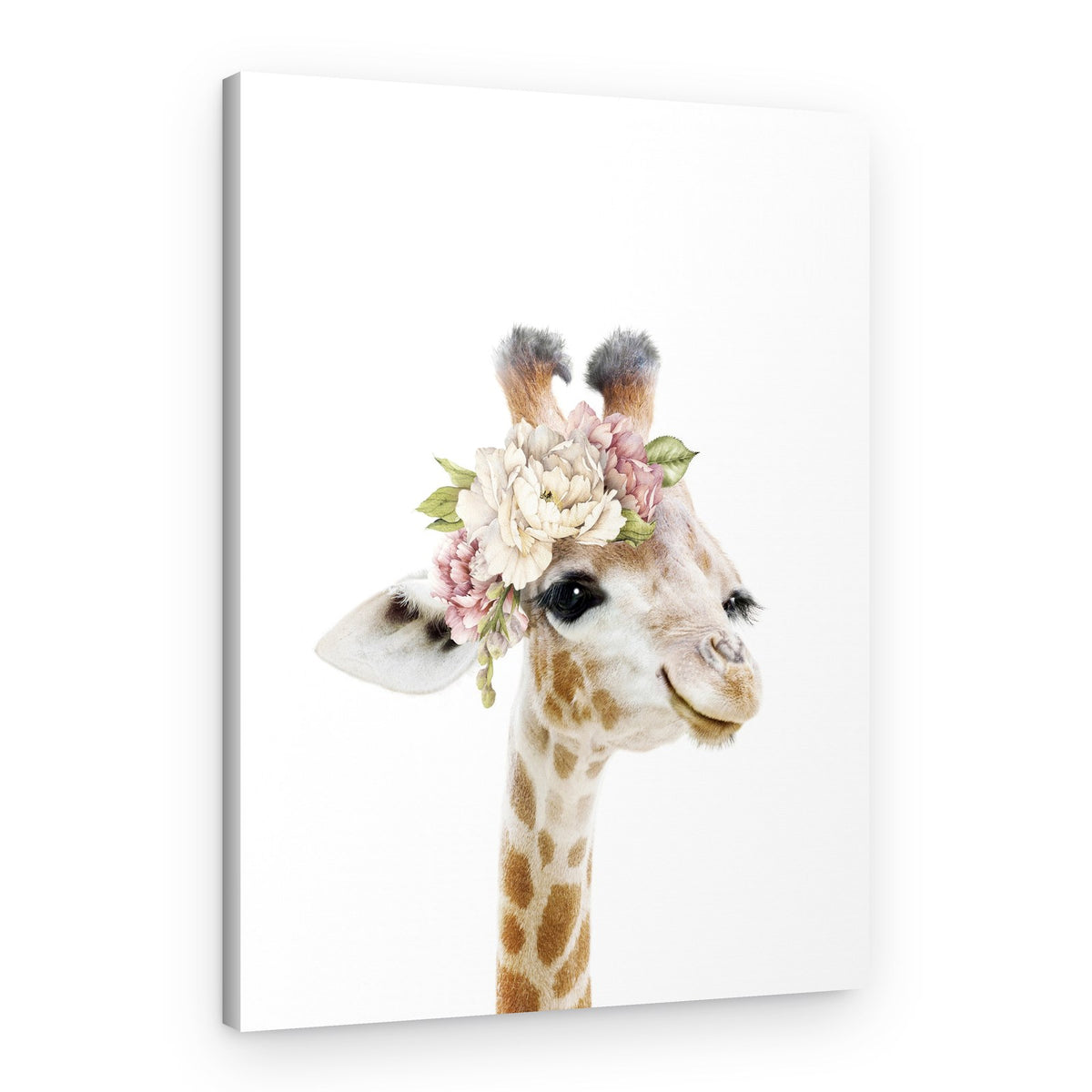 Floral Baby Giraffe – Canvas Print
