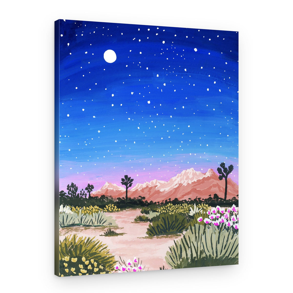 Desert Starry Night – Canvas Print