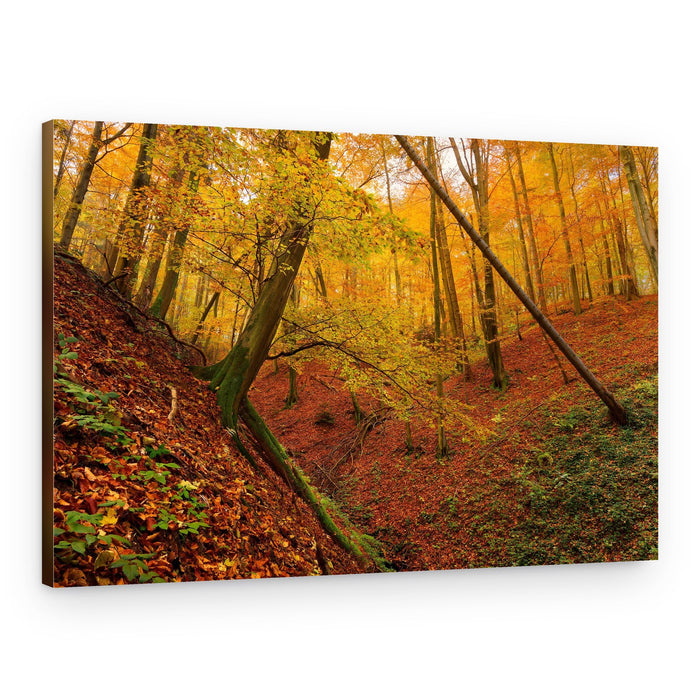 Vibrant Autumn Forest – Canvas Print