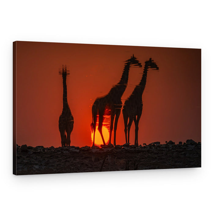 African Sunset Giraffes – Canvas Print