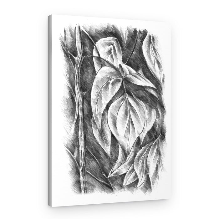 Shaded Botanical Leaves – Canvas Print