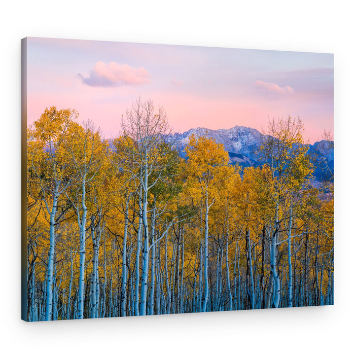 Golden Aspen Mountain Glow – Canvas Print