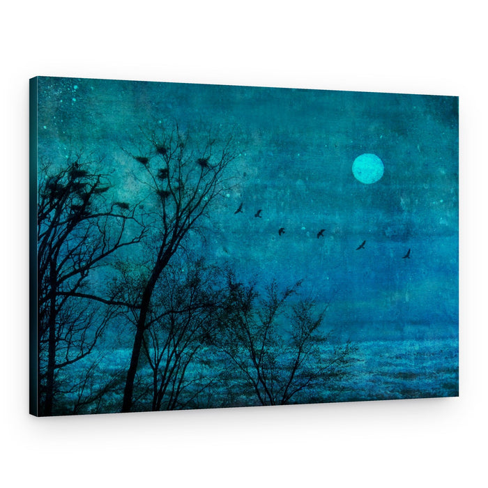 Moonlit Winter Roost – Canvas Print