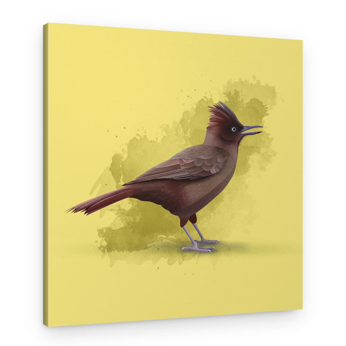 Singing Crested Bird – Canvas Print