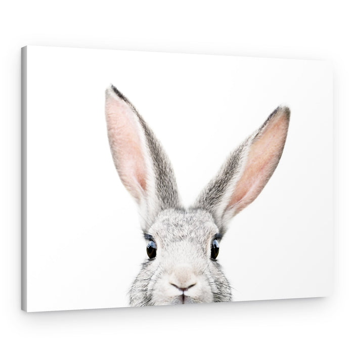 Peeking Bunny – Canvas Print