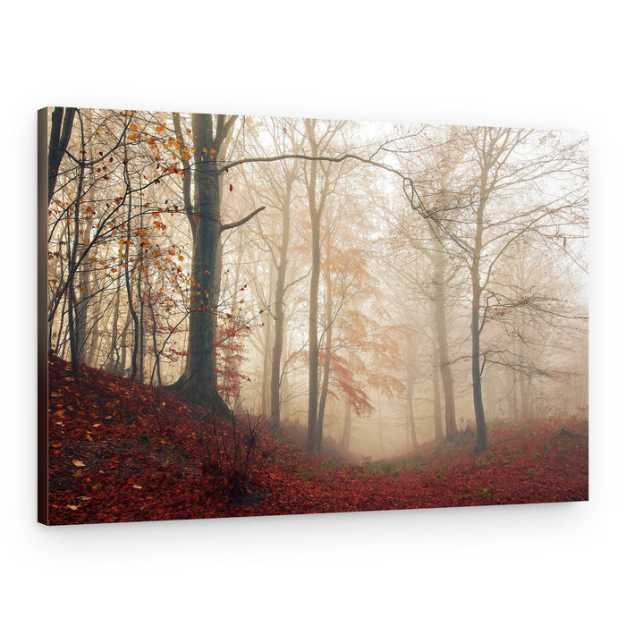 Misty Autumn Forest Path – Canvas Print