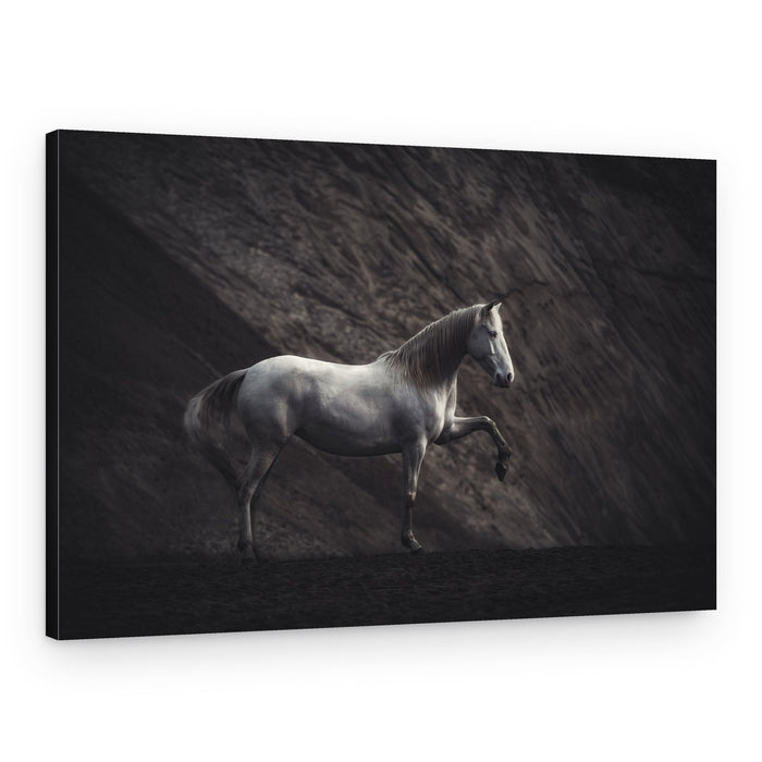 White Horse Black Sand – Canvas Print