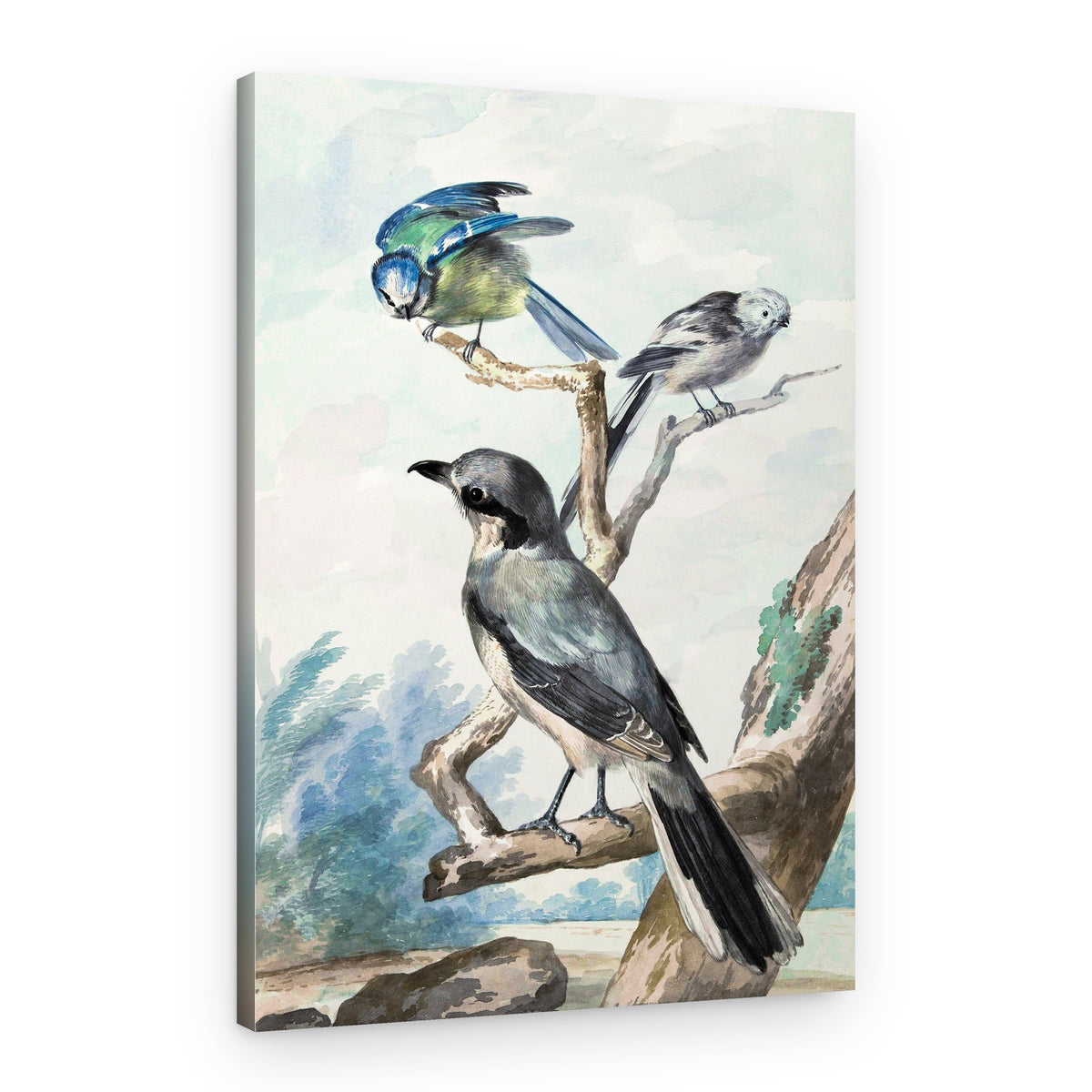 Three Birds – Canvas Print