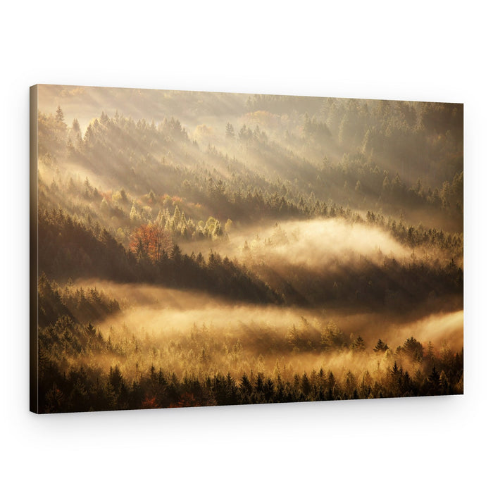 Golden Morning Mist – Canvas Print