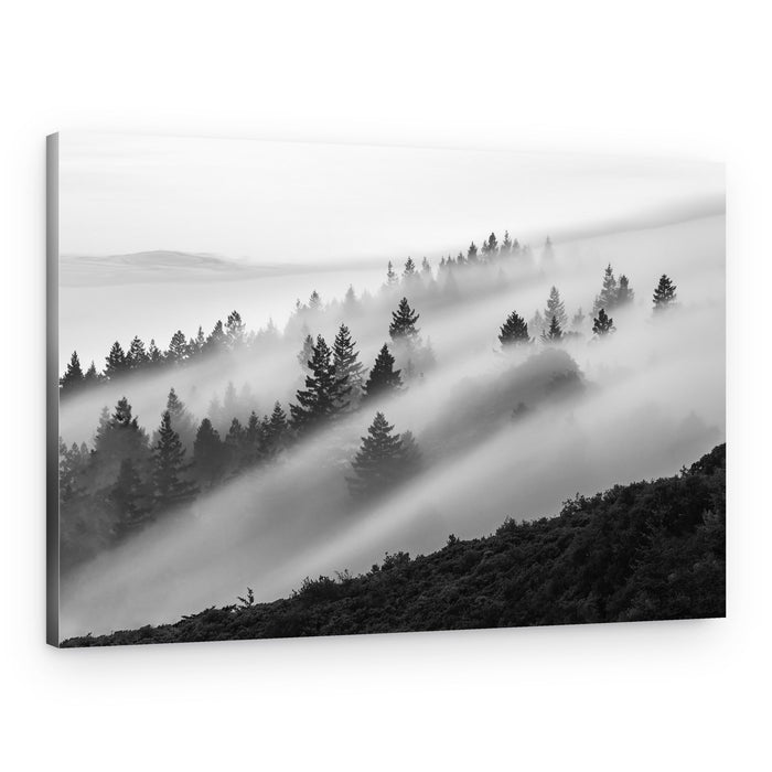 Foggy Forest Serenity – Canvas Print