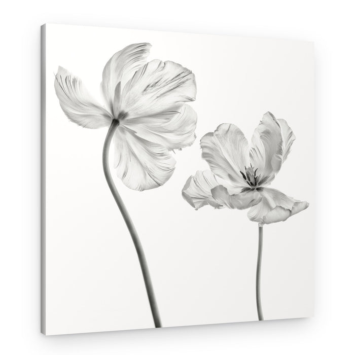 Graceful Monochrome Tulips – Canvas Print