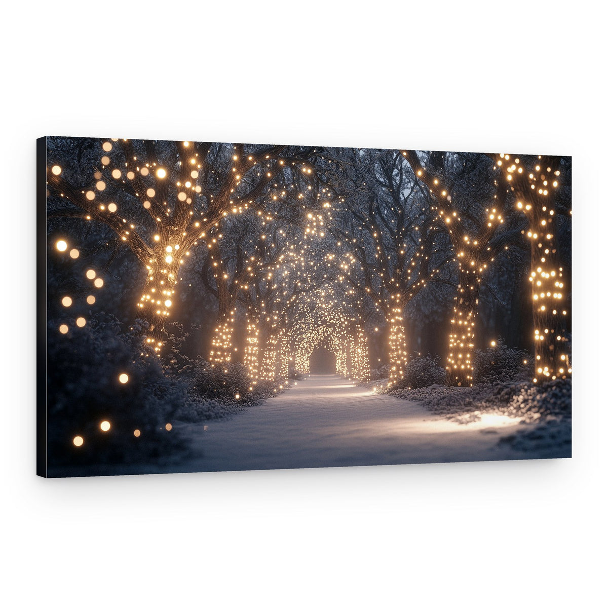 Magical Winter Lights – Canvas Print