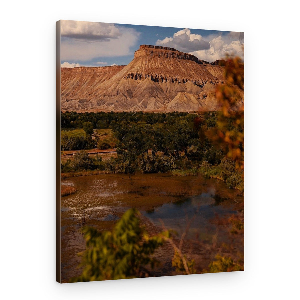 Colorful Mesa Landscape – Canvas Print