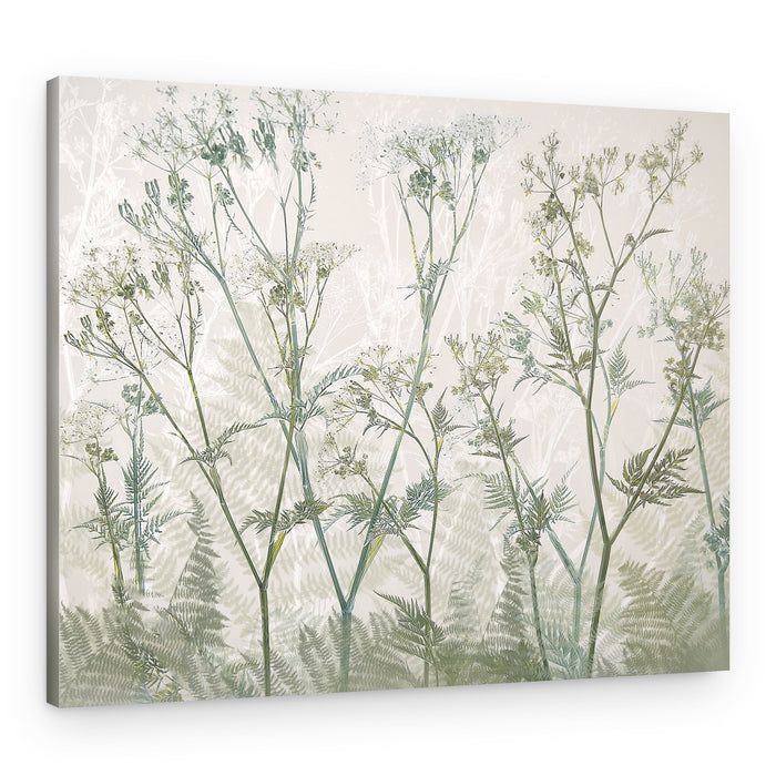 Cow parsley – Canvas Print