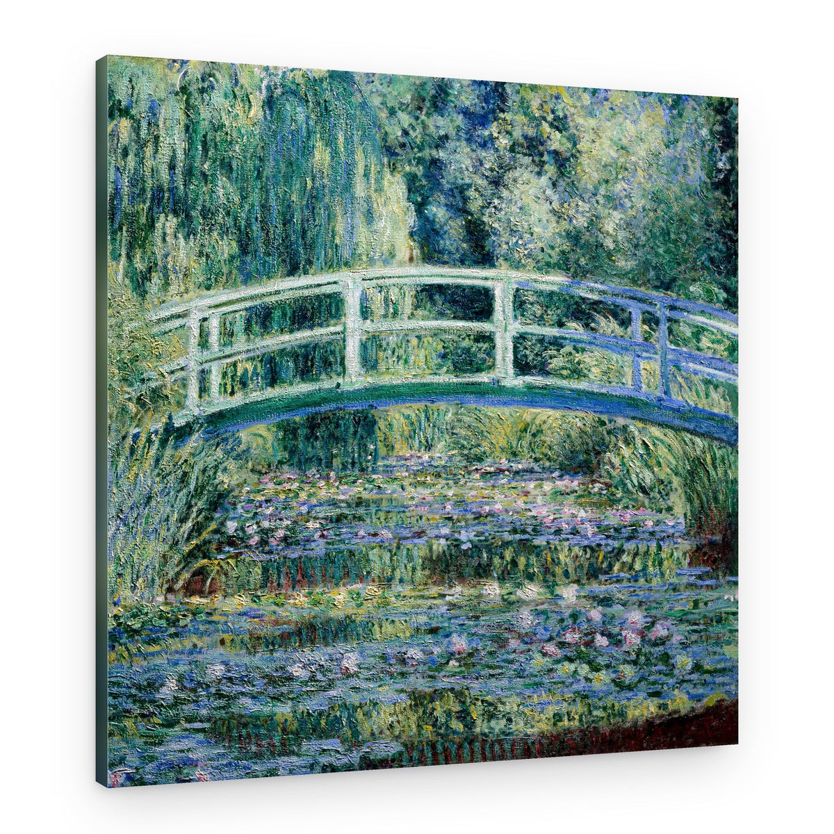 Water Lily Pond – Canvas Print