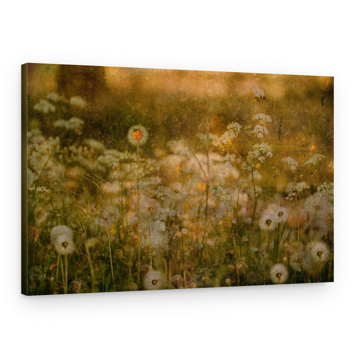 Golden Meadow Ladybug – Canvas Print