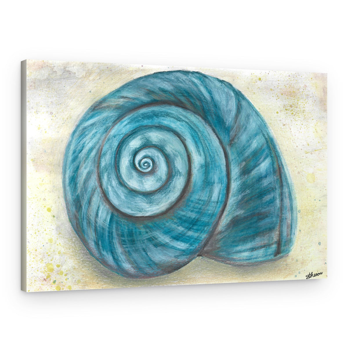 Blue Spiral Shell – Canvas Print