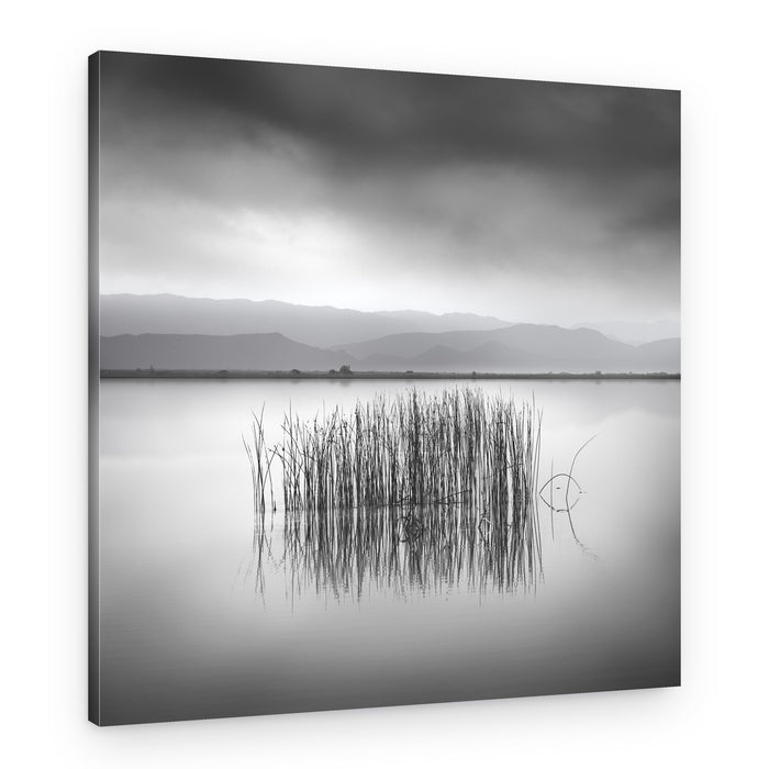 Serene Lake Reeds – Canvas Print