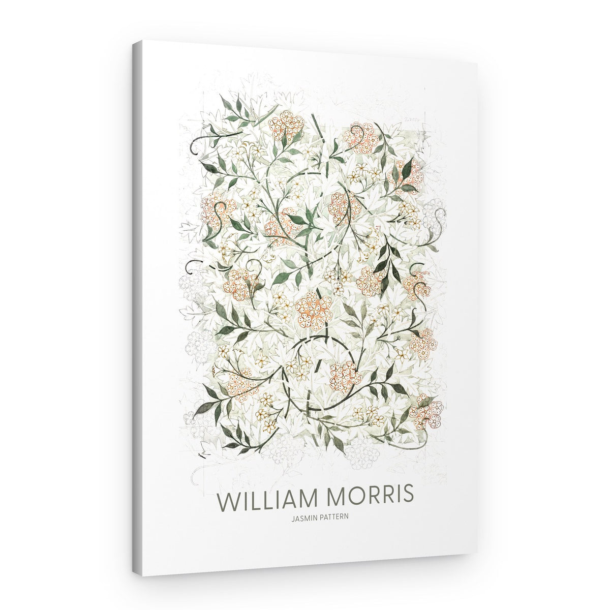 Jasmine – Canvas Print