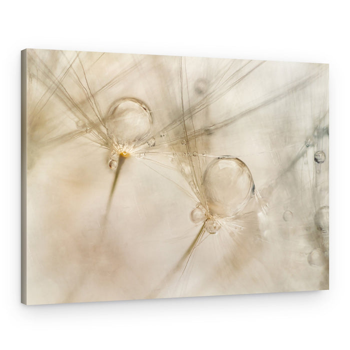 Watercolors – Canvas Print