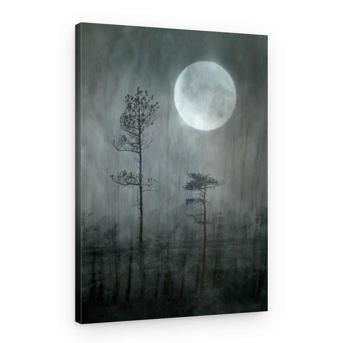 Misty Moon Forest – Canvas Print