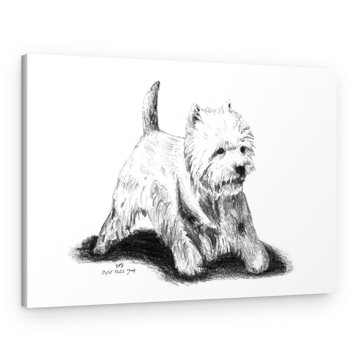 Playful Westie Sketch – Canvas Print