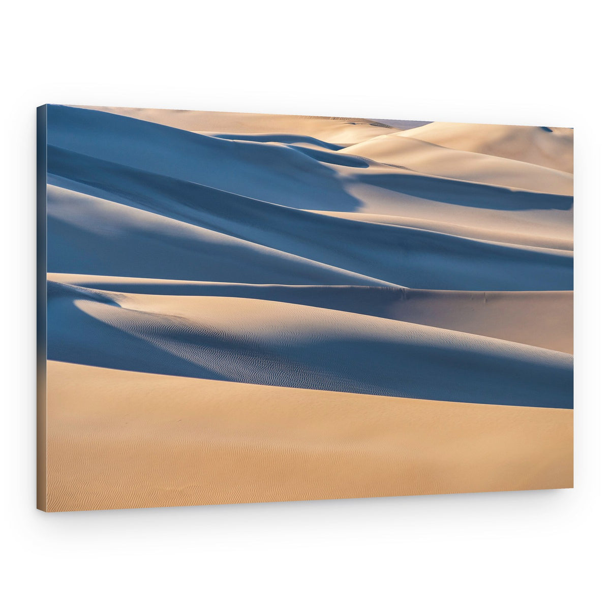 Golden Desert Curves – Canvas Print