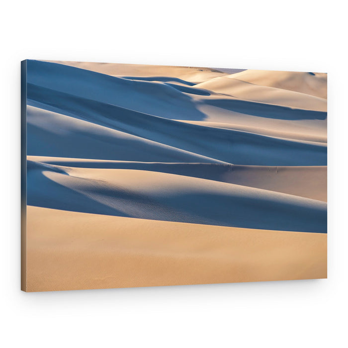 Golden Desert Curves – Canvas Print