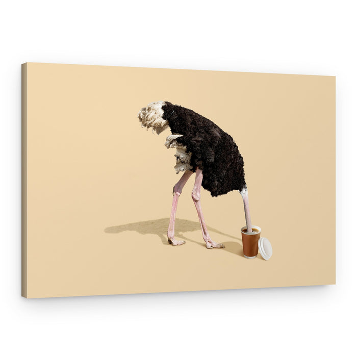 Ostrich Coffee Break – Canvas Print