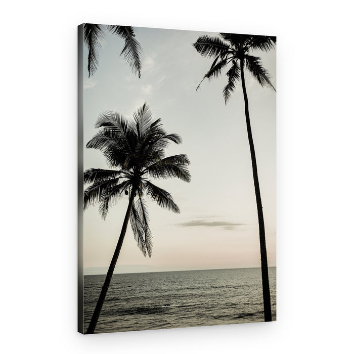 Tropical Dusk Sky – Canvas Print