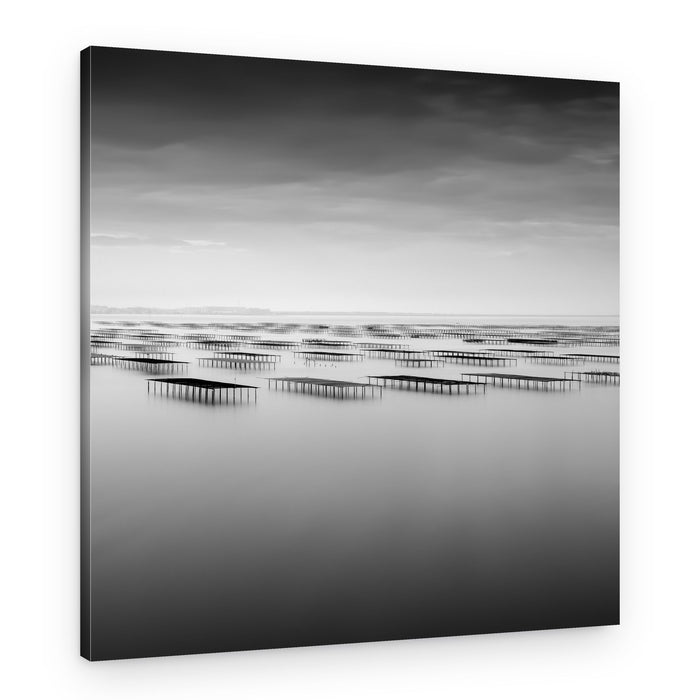 Black and White Oyster Farm – Canvas Print