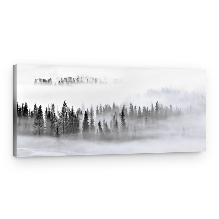 Misty Winter Forest – Canvas Print