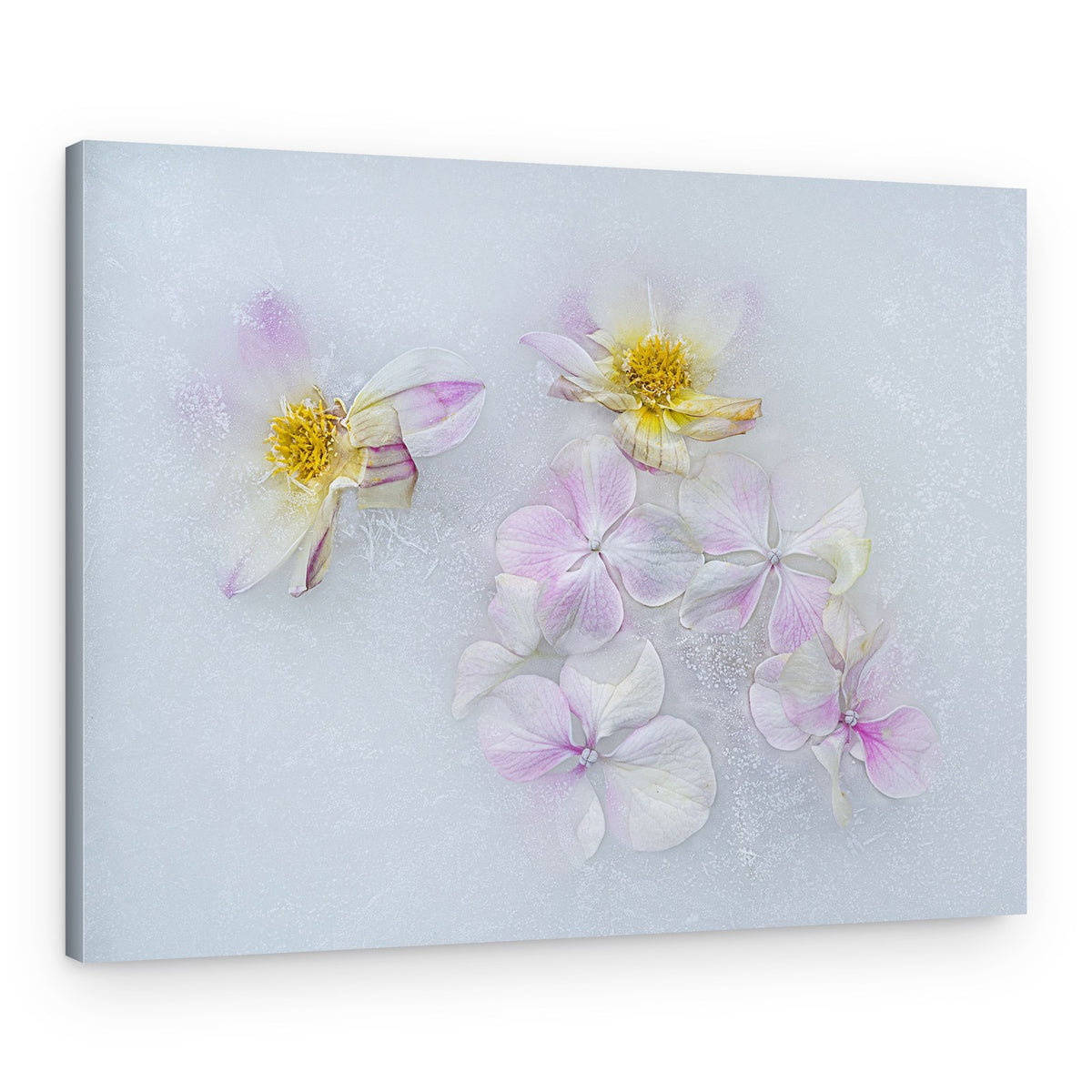 Delicate Frozen Blooms – Canvas Print