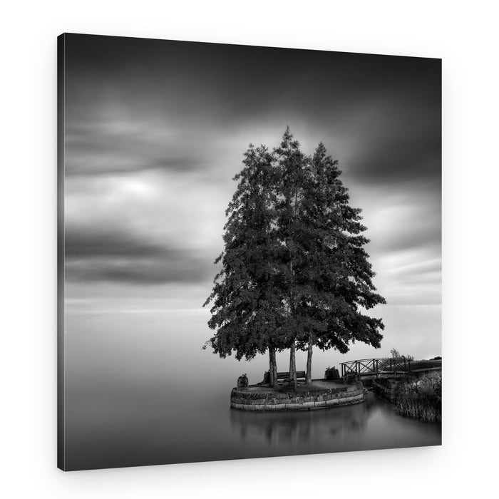 Serene Island Trees – Canvas Print