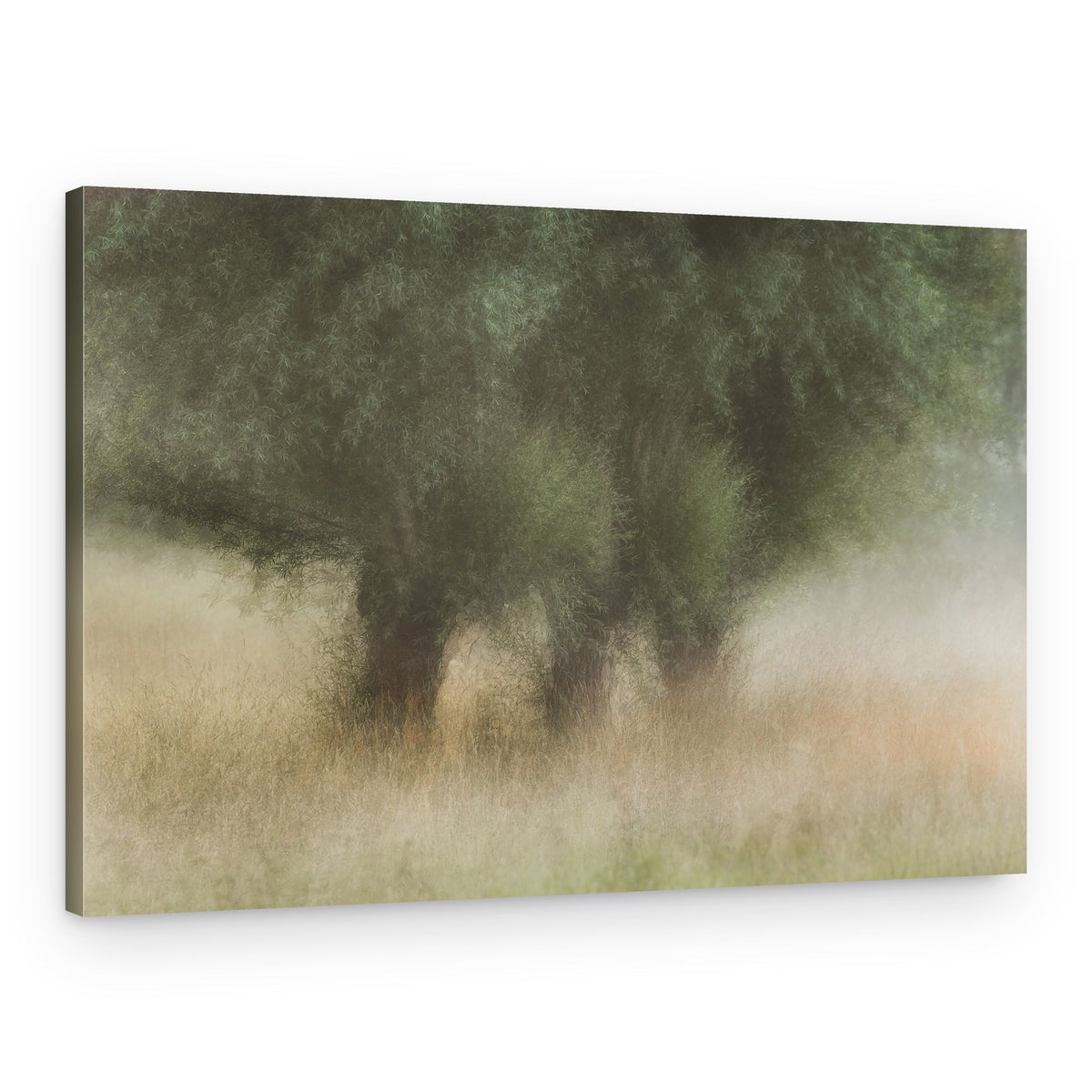 Three in a row – Canvas Print