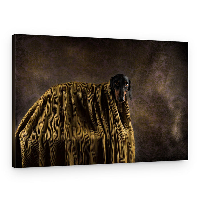 Cozy Dachshund Portrait – Canvas Print
