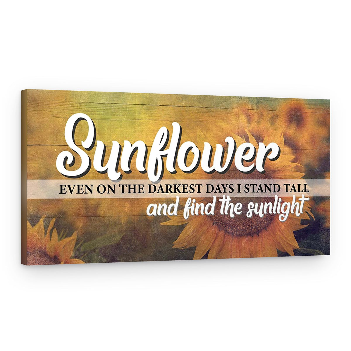 Sunflower Even On The Darkest Days I Stand Tall And Find The Sunlight Canvas Print – Canvas Print