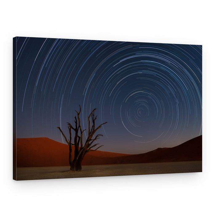 Desert Star Trails – Canvas Print