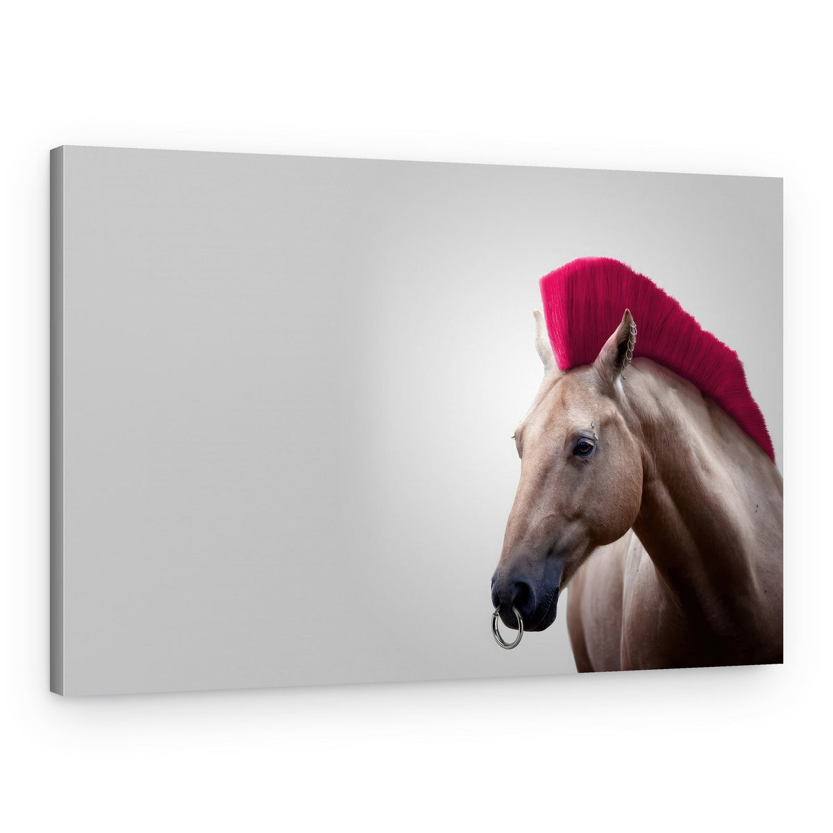 Wild Horse – Canvas Print