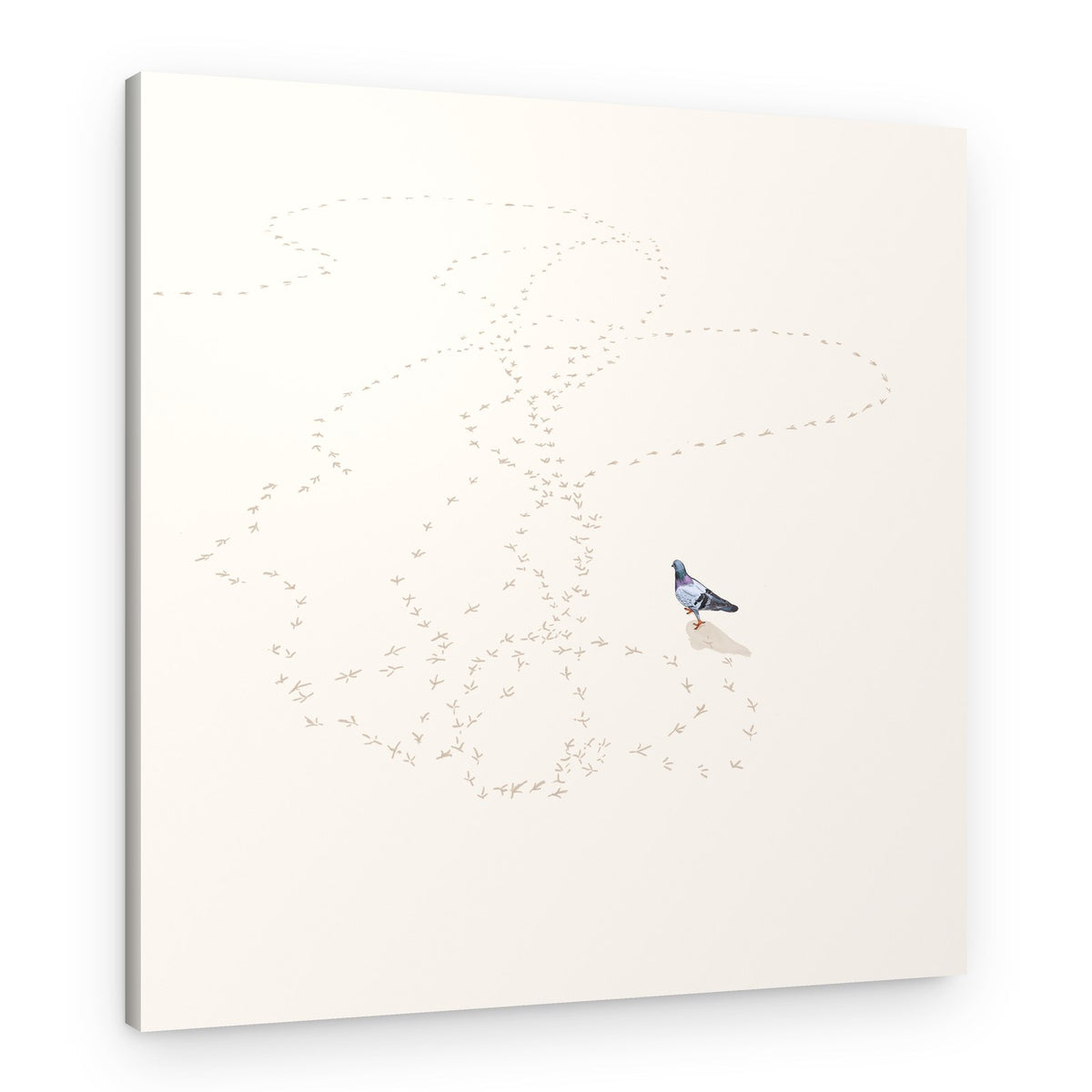 Pigeon Tracks In Sand – Canvas Print